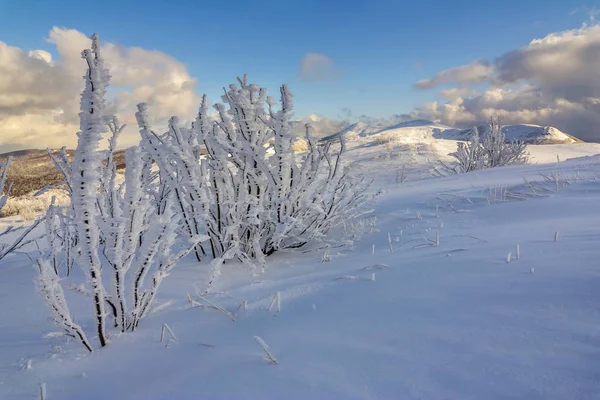 Bieszczady Dağlar, Güney Doğu Polonya kış dağ manzarası — Stok fotoğraf