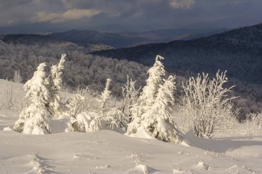Bieszczady Dağlar, Güney Doğu Polonya kış dağ manzarası