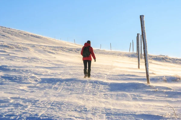 Mountain hiker in bad weather during winter — Stock Photo, Image