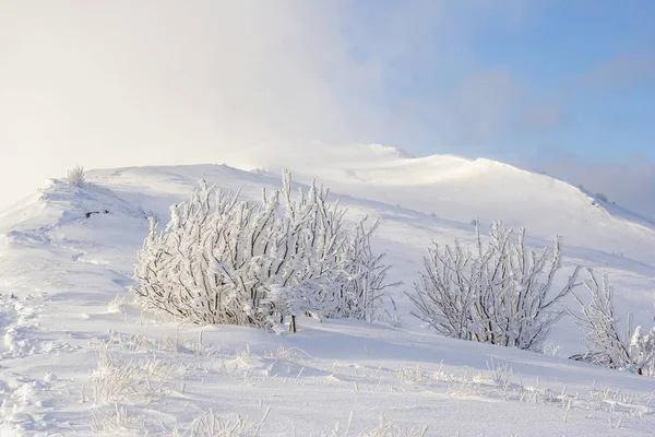 Paisagem de montanha de inverno em montanhas Bieszczady, sudeste da Polônia — Fotografia de Stock