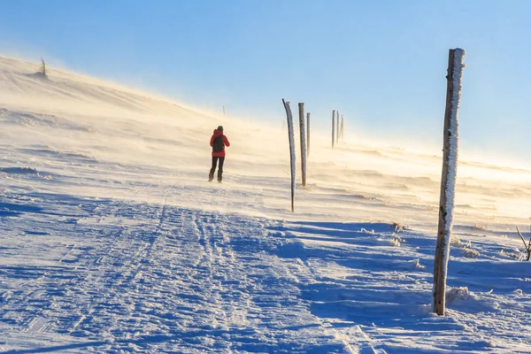 Mountain hiker in bad weather during winter