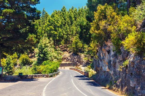 Route dans les montagnes de l'île de Tenerife, Espagne — Photo