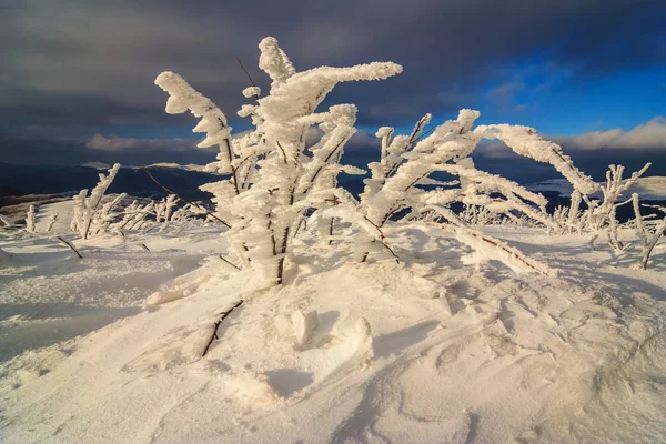 美丽的冬天景观的山区 Bieszczady，波兰 — 图库照片