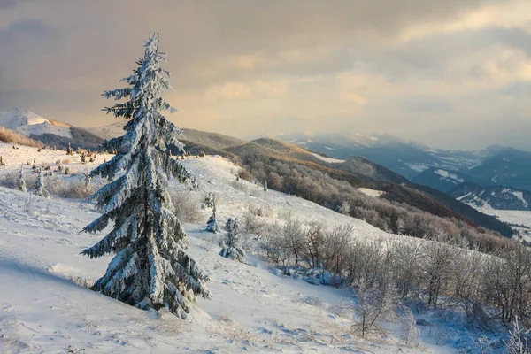 Bela paisagem de inverno nas montanhas, Bieszczady, Polônia — Fotografia de Stock