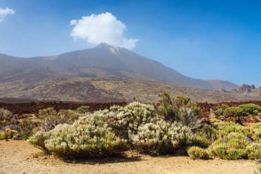 Görünümünü El Teide yanardağı Tenerife, Kanarya Adaları, İspanya 