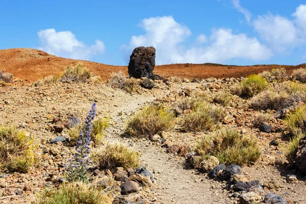 Nascer do sol na caldeira do Vulcão El Teide, Tenerife, Espanha — Fotografia de Stock