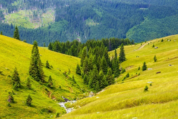 Paysage des montagnes de Parnag en Roumanie, Europe — Photo