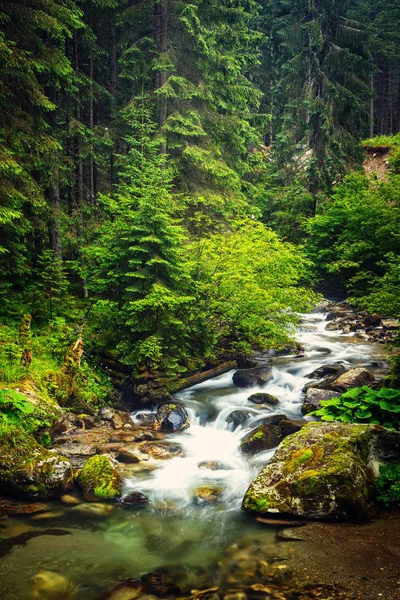 Bach fließt im Futter durch die Steine — Stockfoto