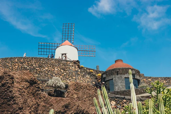 LANZAROTE - March 29, 2017: View of cactus garden in Guatiza, popular attraction in Lanzarote, Canary islands — Stock Photo, Image