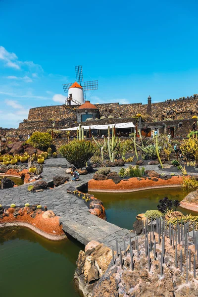Lanzarote - 2017. március 29.: Nézd a kaktusz kert Guatiza, Lanzarote, Canary islands népszerű attrakciója — Stock Fotó