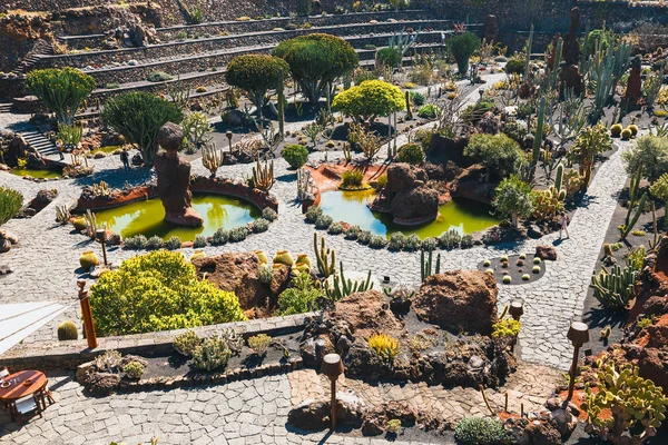 LANZAROTE - 29 de marzo de 2017: Vista del jardín de cactus en Guatiza, atracción popular en Lanzarote, Islas Canarias —  Fotos de Stock