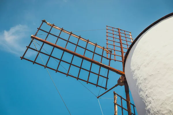 Windmill in tropical cactus garden in Guatiza village, popular attraction in Lanzarote, Canary islands — Stock Photo, Image