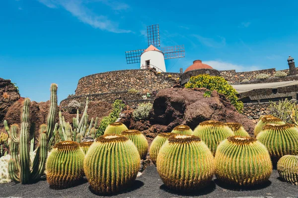 Κάκτος Κήπος, jardin de cactus σε Guatiza, δημοφιλή attr θέα — Φωτογραφία Αρχείου