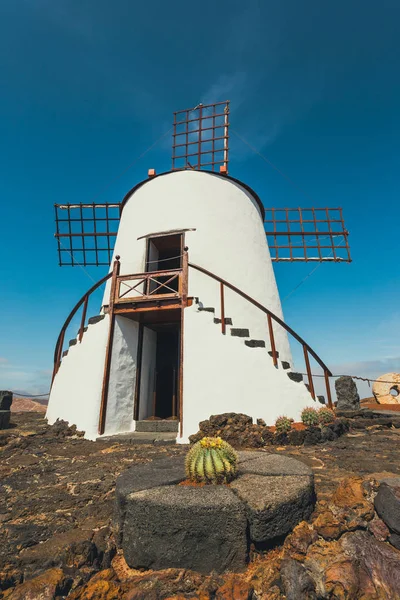 Guatiza 村の熱帯サボテン園、ランサローテ島、カナリア諸島の人気のあるアトラクションの風車します。 — ストック写真