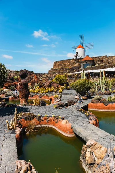 LANZAROTE - 29 de marzo de 2017: Vista del jardín de cactus en Guatiza, atracción popular en Lanzarote, Islas Canarias — Foto de Stock