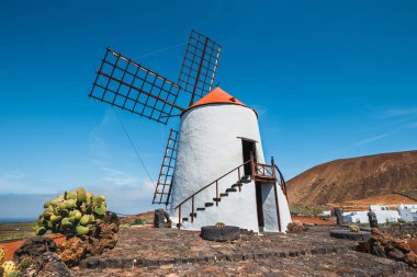 Mavi gökyüzü arka bahçesinde kaktüs, Guatiza Köyü, Lanzarote, Kanarya Adaları yel değirmeni