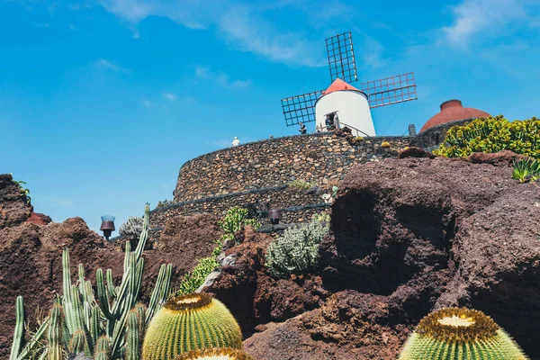Lanzarote - 2017. március 29.: Nézd a kaktusz kert Guatiza, Lanzarote, Canary islands népszerű attrakciója — Stock Fotó