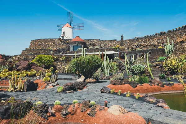 Windmill in tropical cactus garden in Guatiza village, popular attraction in Lanzarote, Canary islands — Stock Photo, Image