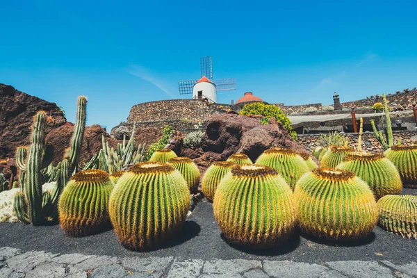 Molino de viento en jardín tropical de cactus en el pueblo de Guatiza, atracción popular en Lanzarote, Islas Canarias — Foto de Stock