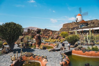 Lanzarote - 29 Şubat 2017: Kaktüs Bahçe Guatiza, Lanzarote, Kanarya Adaları popüler cazibe içinde beyaz yel değirmeni ile görünümünü