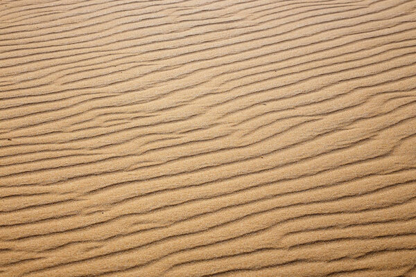 Lines in the sand of a beach, close up