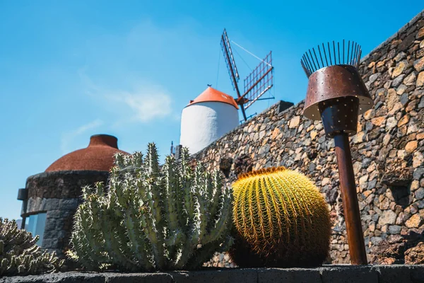 Windmolen in tropische cactustuin in Guatiza dorp, populaire attractie in Lanzarote, Canarische eilanden — Stockfoto