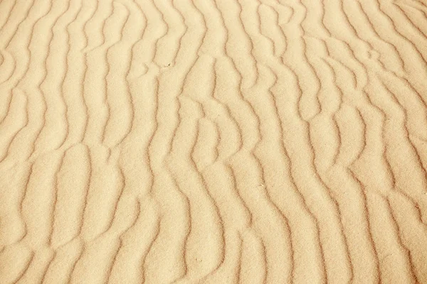 Líneas en la arena de una playa, de cerca — Foto de Stock