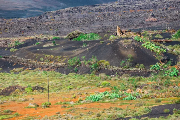 Lanskap vulkanik lanzarote, pulau kenari, spain — Stok Foto