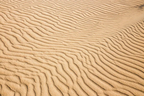 Linhas na areia de uma praia, de perto — Fotografia de Stock
