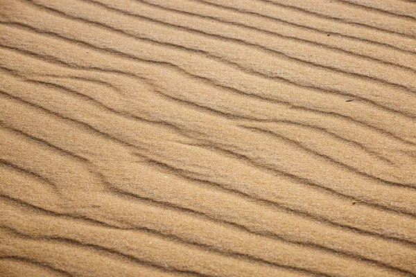 Líneas en la arena de una playa, de cerca — Foto de Stock