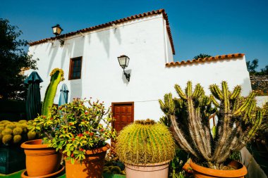 Fuerteventura Adası, İspanya Betancuria köyde merkezi kare
