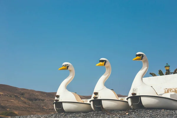 Botes de pedal en forma de cisne en la playa, concepto de vacaciones de verano —  Fotos de Stock