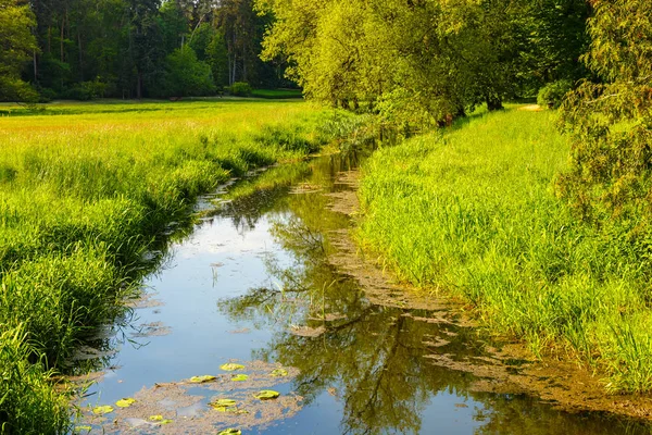 Flusso che scorre attraverso il giardino dendrologico primaverile — Foto Stock