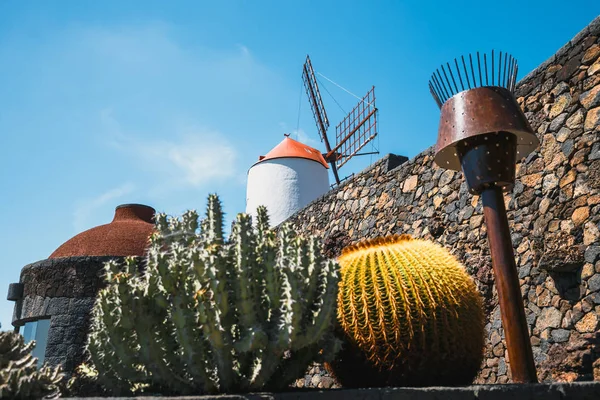 Väderkvarn i tropiska kaktusträdgård i Guatiza by, populär attraktion i Lanzarote, Kanarieöarna — Stockfoto