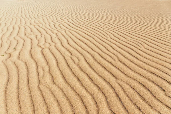 Satırları bir plaj kum yakın çekim — Stok fotoğraf