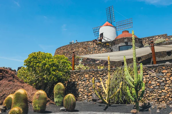 -Lanzarote - 29. března 2017: Kaktusová zahrada s bílým větrný mlýn v Guatiza, populární atrakce v Lanzarote, Kanárské ostrovy pohled — Stock fotografie