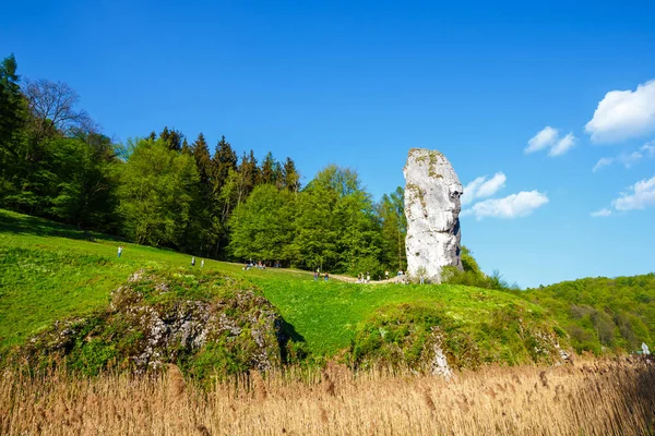 Pieskowa Skala, Pologne, 14 mai 2017 : Rocher calcaire appelé Bludgeon of Hercules près du château Pieskowa Skala, Cracovie, Pologne — Photo