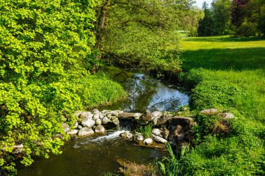 Bahar dendroloji bahçesine doğru akan akım