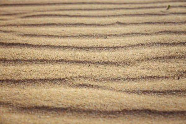 Líneas en la arena de una playa, de cerca — Foto de Stock