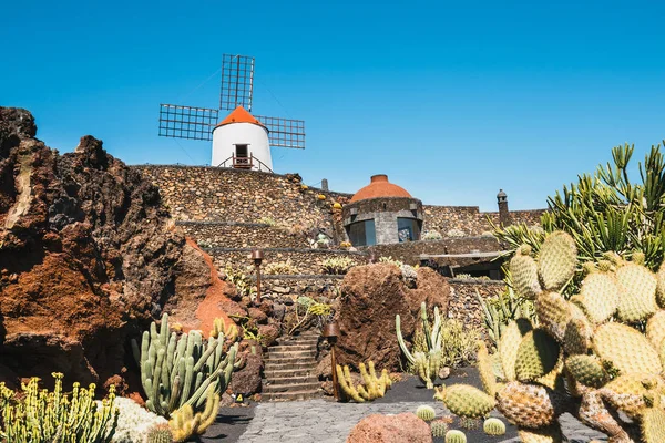 Molino de viento en jardín tropical de cactus en el pueblo de Guatiza, atracción popular en Lanzarote, Islas Canarias — Foto de Stock