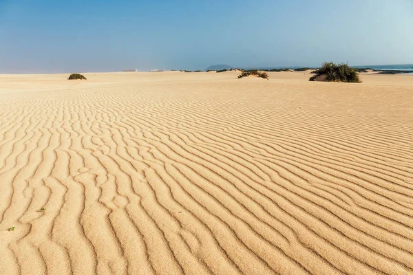 Lines in the sand of a beach, close up