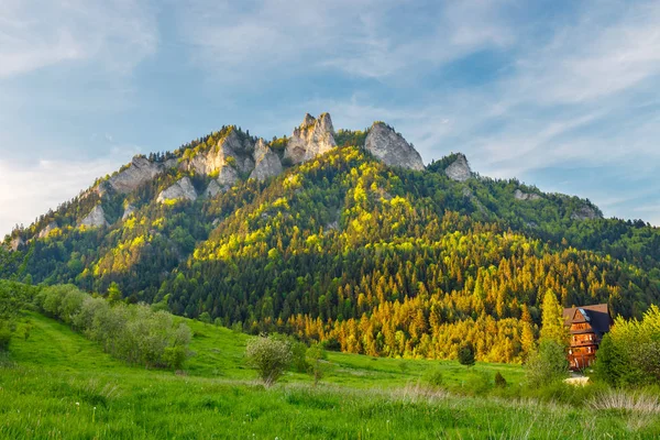 Spring in the Pieniny with Three Crowns mountain in the background — Stock Photo, Image