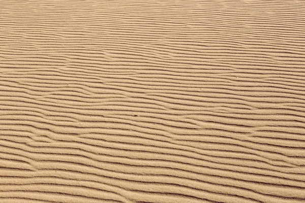 Čáry v písku pláže, zblízka — Stock fotografie