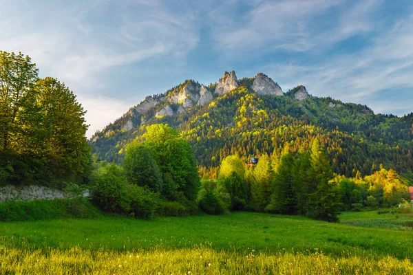 Primavera nel Pieniny con la montagna delle Tre Corone sullo sfondo — Foto Stock