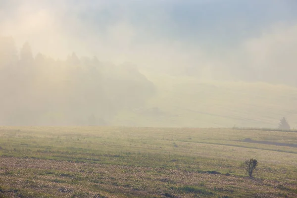 Bela manhã enevoada em Pieniny Mountains, Polônia — Fotografia de Stock