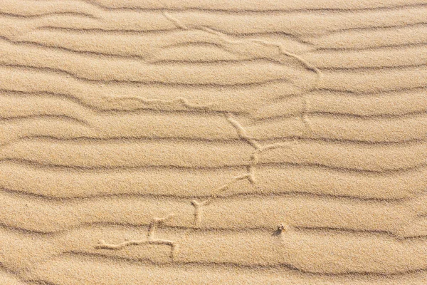 Lijnen in het zand van het strand, close-up — Stockfoto