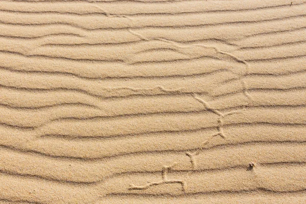 Líneas en la arena de una playa, de cerca — Foto de Stock