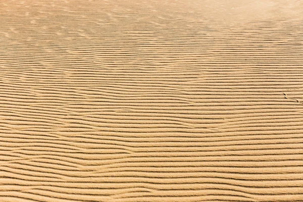 Lines in the sand of a beach, close up