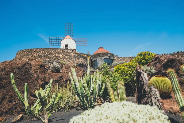 Molino de viento en jardín tropical de cactus en el pueblo de Guatiza, atracción popular en Lanzarote, Islas Canarias —  Fotos de Stock