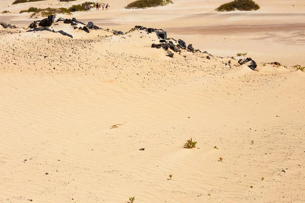 Lines in the sand of a beach, close up